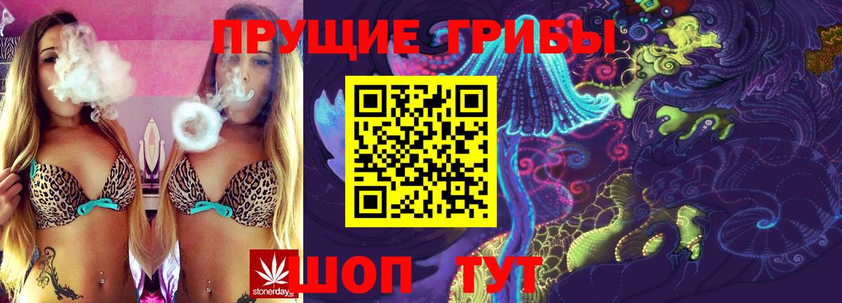 Обнинск  Псилоцибиновые грибы мухоморы  Вход с VPN 