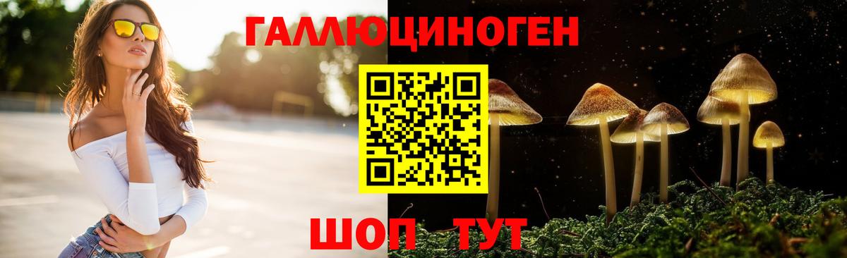 Псилоцибиновые грибы Cubensis Обнинск
